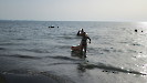 311