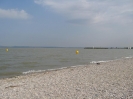 Neusiedler