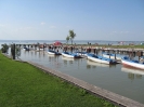 Neusiedler