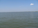 Neusiedler