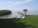 Balaton