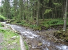 Ukrajina 2011